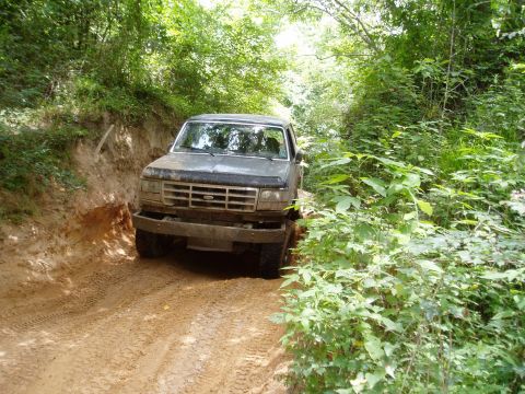 1990 Ford Bronco - A Ford Bronco navigates a narrow, muddy trail surrounded by lush green foliage.