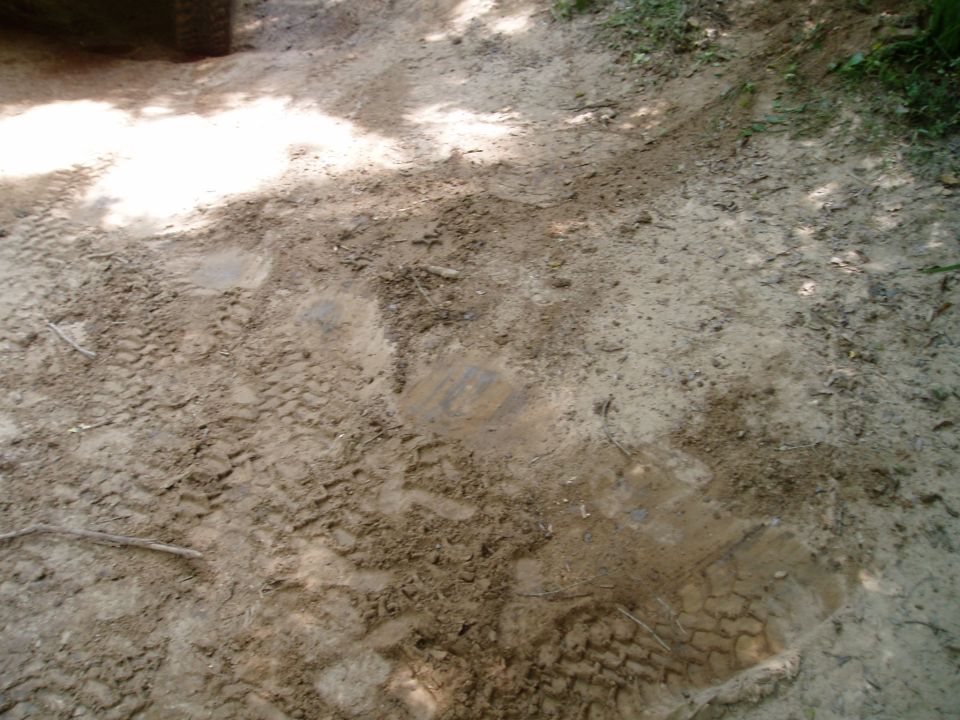 Tire tracks in muddy ground with shadows from trees