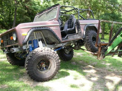 1995 Ford Bronco - This modified 1978 Ford Bronco features a roll cage and oversized tires, indicating it is not a 1995 model.