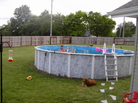 1991 Ford Bronco - Backyard scene an above-ground pool with people and a dog enjoying a summer day.