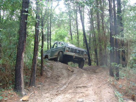 1993 Ford Bronco - Ford F-Series truck navigates a challenging off-road trail through a wooded area.