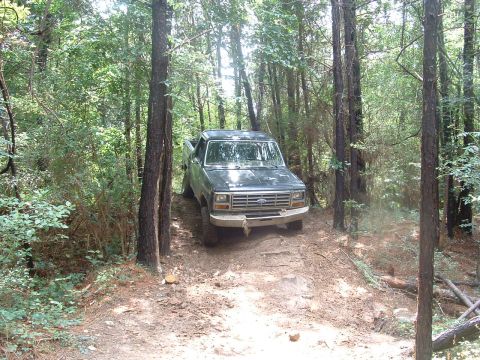 1993 Ford Bronco - A dark colored Ford pickup truck navigates a wooded trail with dense foliage on either side.