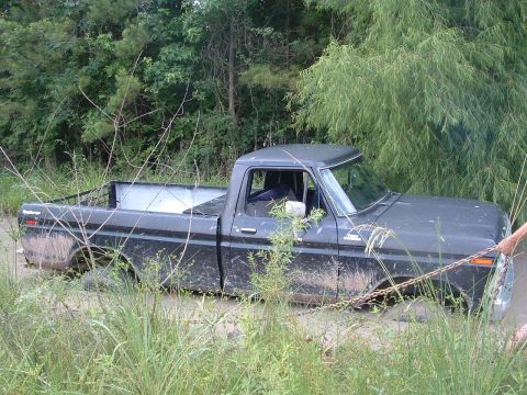1993 Ford Bronco - A dark pickup truck is stuck in the mud, with vegetation surrounding it and a chain attached to the front.