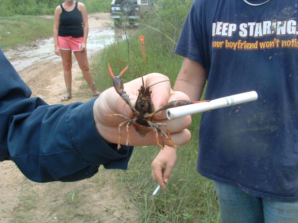 Person holding a crawfish and a cigarette, with another person and a vehicle in the background