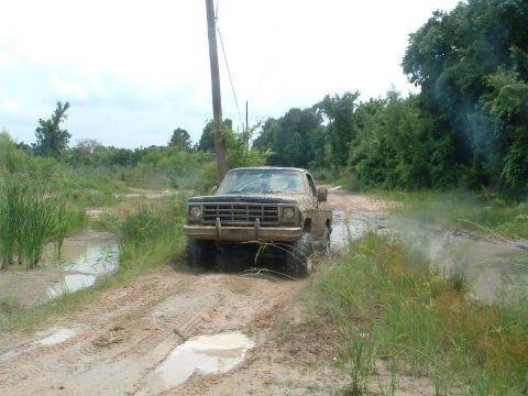 1993 Ford Bronco - This pickup truck is navigating a muddy trail with tall grass and trees in the background.