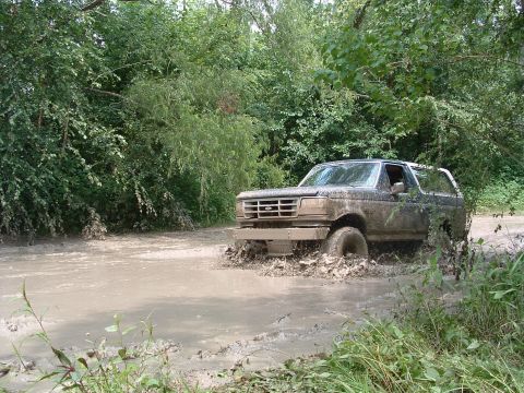 1993 Ford Bronco - A muddy Ford Bronco navigates a water-filled path surrounded by dense foliage.