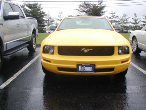 1979 Ford Bronco - A yellow Ford Mustang is parked in a lot, showing its front grille and 'Hofman' license plate. Another vehicle is visible to the left.
