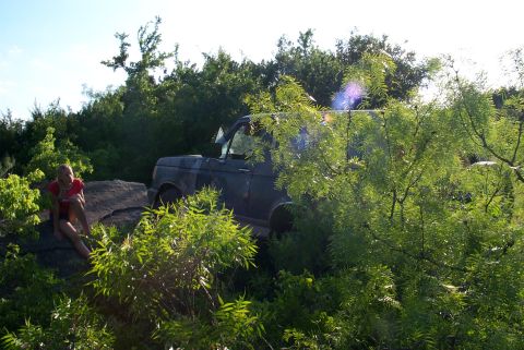 1989 Ford Bronco photo