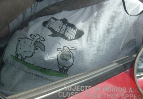 1989 Ford Bronco - A t-shirt with a humorous graphic of sheep and text is visible inside a vehicle.