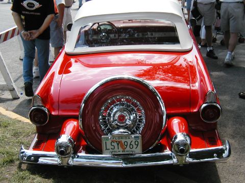 P1010046_1.JPG