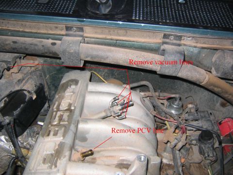 1994 Ford Bronco - removal of vacuum lines from tree and PCV line