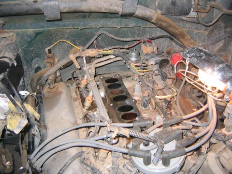 1994 Ford Bronco - Close-up view of an engine's intake manifold, fuel injectors, and spark plug wires.