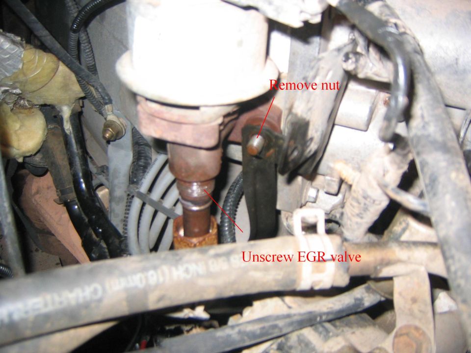 Engine bay EGR valve with red arrows labeled Remove nut and Unscrew EGR valve
