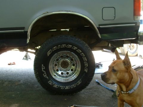 1991 Ford Bronco - Another shot of the rear finished