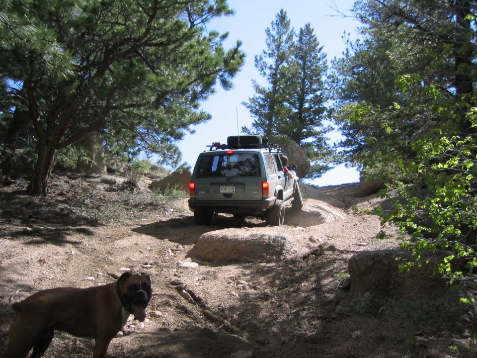 Rear view of a Jeep Cherokee XJ with roof rack on a pine forest trail, boxer dog in foreground