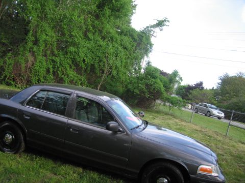 1991 Ford LTD Crown Victoria - A dark gray sedan is parked on a grassy area with trees in the background and another car visible on the road.