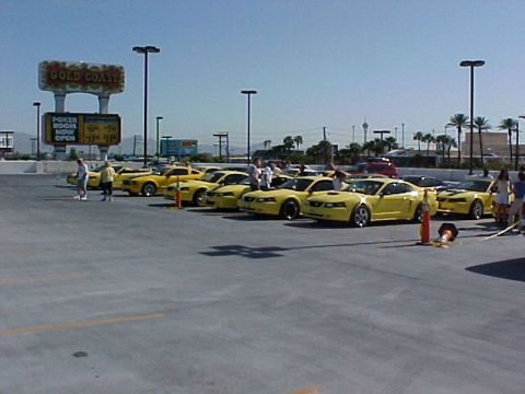 2002 Ford Mustang - A group of yellow 2002 Ford Mustangs are parked together at an event near the Gold Coast casino.