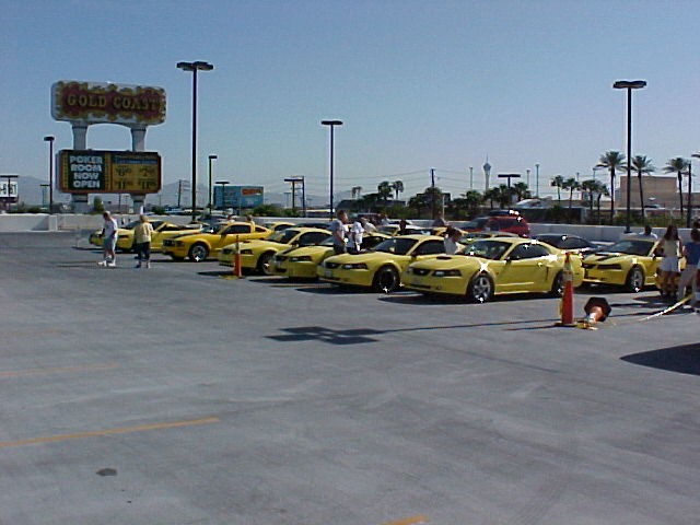 Several yellow 2002 Ford Mustangs parked in a lot with a 'Gold Coast' sign in the background