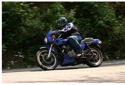 1985 Ford Crown Victoria LTD - Motorcycle rider on a blue bike cruising down a paved road with trees lining the side.