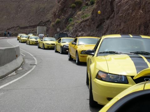 2002 Ford Mustang - Several yellow Ford Mustangs are driving in a convoy on a winding road with a mountain backdrop.