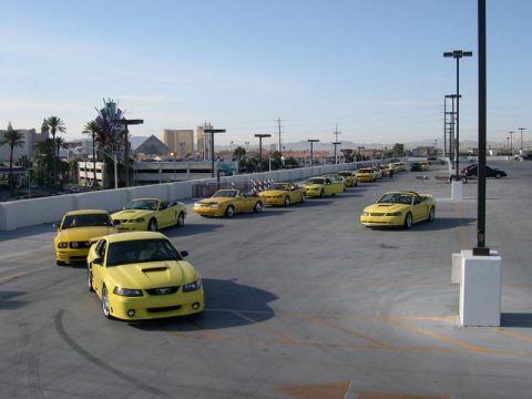 2002 Ford Mustang - A line of yellow Ford Mustangs are parked in a lot, with a city skyline visible in the distance.
