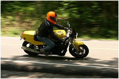 1985 Ford Crown Victoria LTD - A rider speeds down a tree-lined road on a yellow motorcycle, captured with motion blur.