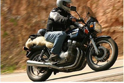 1985 Ford LTD Crown Victoria - A rider navigates a curve on a Suzuki motorcycle, with a sheepskin seat cover adding a unique touch.