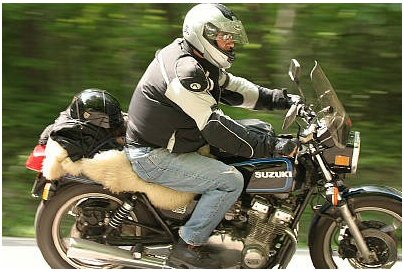 1985 Ford LTD Crown Victoria - Rider on a Suzuki motorcycle with a helmet and sheepskin seat cover on a tree-lined road.