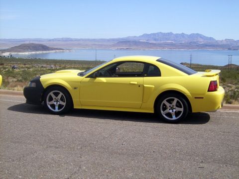 2002 Ford Mustang - Side view of a yellow 2002 Ford Mustang with a black front bumper and a spoiler, parked by a lake.