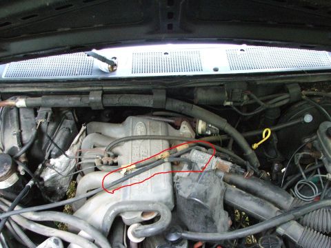 1996 Ford Bronco - Close-up view of an engine bay, with fuel lines circled in red.