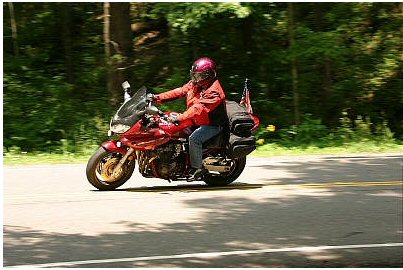 1985 Ford LTD Crown Victoria - A motorcycle rider cruises down a tree-lined road on a sunny day.