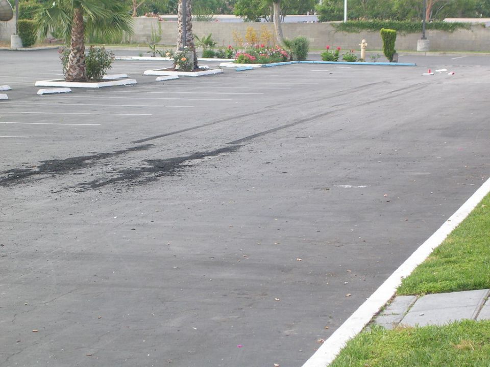 Empty asphalt parking lot with black tire skid marks and palm trees