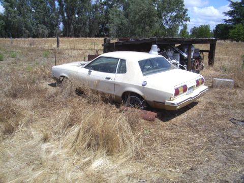 1978 Ford Mustang II - This weathered coupe sits abandoned in a dry, grassy field next to a rustic shed.