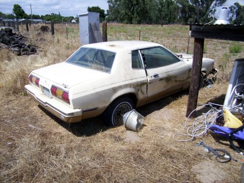 1978 Ford Mustang II - This weathered coupe sits in a field, its paint faded and tires flat, suggesting a long period of neglect.