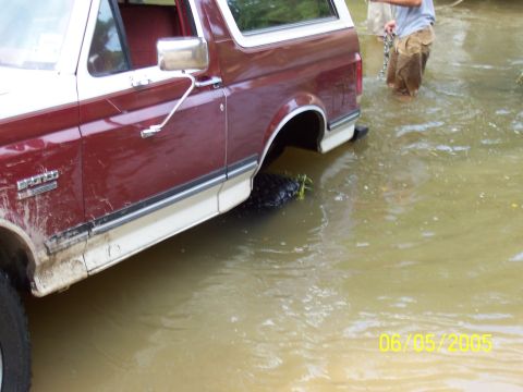 1990 Ford Bronco - A 1990 Ford Bronco navigates through murky water, with a person visible in the background also wading.