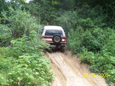 1990 Ford Bronco - A 1990 Ford Bronco navigates a steep, sandy trail amidst dense foliage.