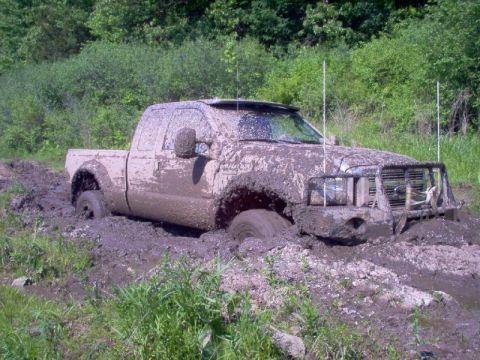 1976 GMC C/K Pickup - Muddy pickup truck stuck in a ditch with vegetation all around.