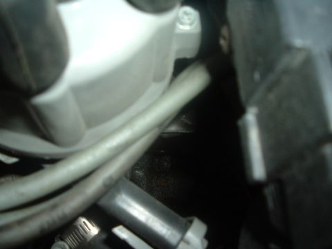 1993 Ford Taurus - Engine distributor cap and wires, part of the ignition system.