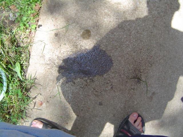 Shadow of a person and a dark puddle on a concrete surface next to grass