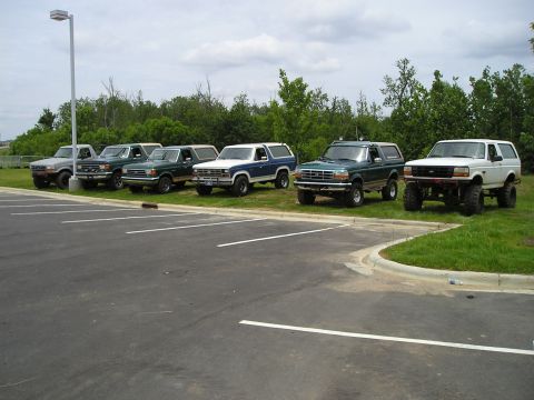 1996 Ford Bronco - A lineup of Ford Broncos, mostly from the 1990s, are parked side-by-side in a grassy area next to a parking lot.