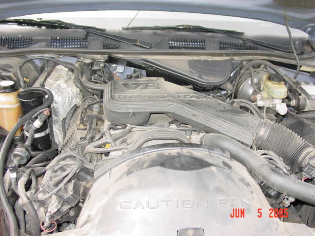 Engine bay showing Ford V8 overhead cam intake with CAUTION FAN cast on shroud, dated June 2005