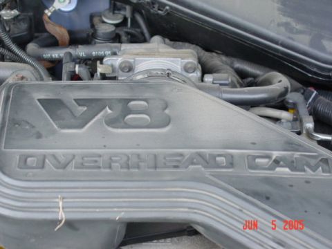 1995 Ford Crown Victoria - Motor cover.