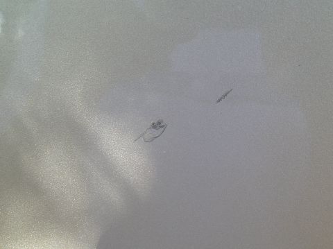 1999 Ford F-150 - some asshole through a rock at my door driving down the road