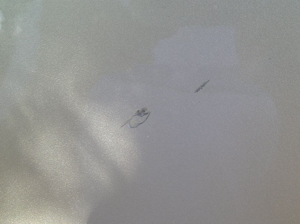some asshole through a rock at my door driving down the road