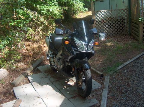2002 Suzuki TL1000R - A black motorcycle is parked on concrete pavers in a wooded area.