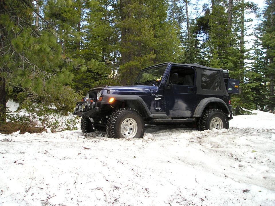 Dark blue Jeep Wrangler stuck in snow with trees in background