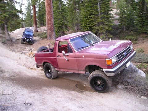 1989 Ford Bronco - Maroon full-size Ford Bronco with the rear top removed and doorless driver's side, articulating on a dirt trail in a pine forest with the r…
