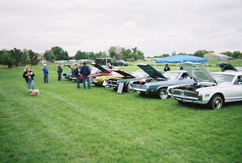 1972 Ford Ranchero - COUGARS escaped from the zoo