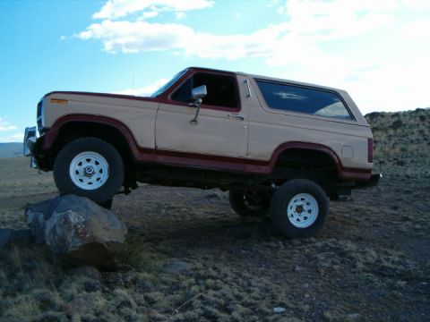 1985 Ford Bronco - Poser shot 1