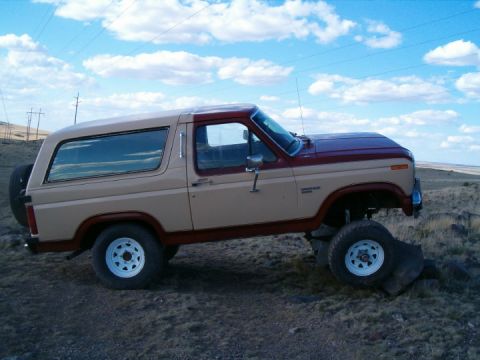 1985 Ford Bronco - poser shot 2
